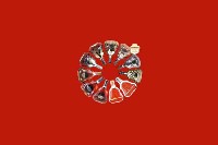 阳山县回收红酒